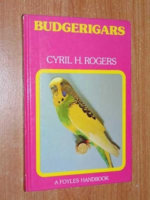 Budgerigars