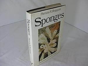 SPONGES