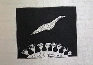 Bild des Verkufers fr A History of British Starfishes, and Other Animals of the Class Echinodermata. zum Verkauf von Patrick Pollak Rare Books ABA ILAB