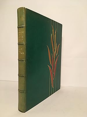 Bild des Verkufers fr The Dictionary of Garden Plants. zum Verkauf von Peter Ellis, Bookseller, ABA, ILAB
