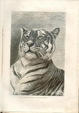 La nature Revue sciences 1884 - Plusieurs auteurs - 6 mois complets nombreuses gravures animalièr...