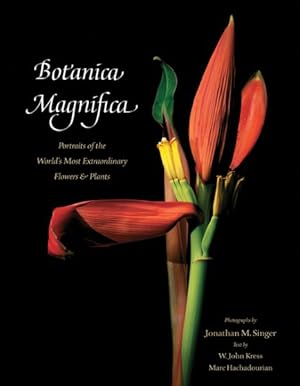 Immagine del venditore per Botanica Magnifica : Portraits of the World's Most Extraordinary Flowers & Plants venduto da GreatBookPrices