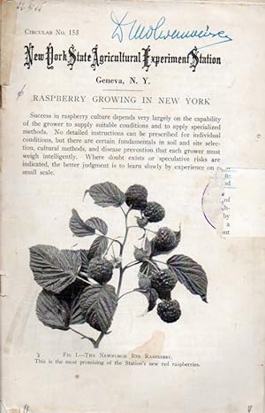 Bild des Verkufers fr Raspberry Growing in New York zum Verkauf von Clivia Mueller