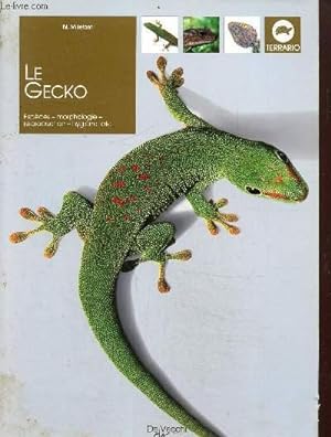 Seller image for Le gecko for sale by Le-Livre