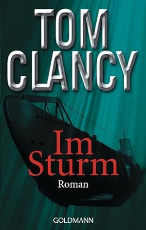 Im Sturm: Roman