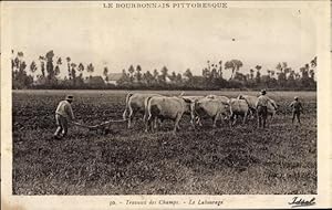 Ansichtskarte / Postkarte Le Bourbonnais Pittoresque, Travaux des Champs, le Labourage