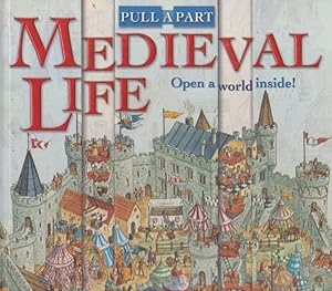 MEDIEVAL LIFE: Open a world inside! (PULL A PART)