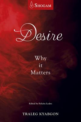 Seller image for Desire: Why It Matters (Paperback or Softback) for sale by BargainBookStores