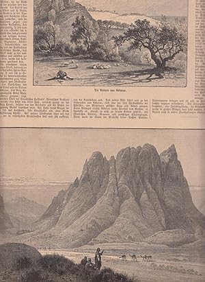 Bild des Verkufers fr Bilder aus Palstina. 2 Abbildungen mit einem Artikel zum Thema auf 1 Seite. Zeigt: 1. Die Ruinen von Askalon (Aschkelon). 2 Berg Sinai mit dem Katharinenkloster. zum Verkauf von Antiquariat Hild