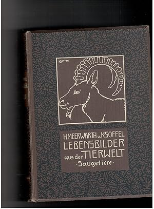 Seller image for Lebensbilder aus der Tierwelt - zweiter Band - Erste Folge : Sugetiere II for sale by manufactura