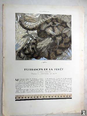 Artículo Revista L'Illustration: PUISSANCES DE LA FÔRET. Art Deco