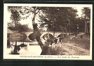 Carte postale Neung-sur-Beuvron, Les bords du Beuvron