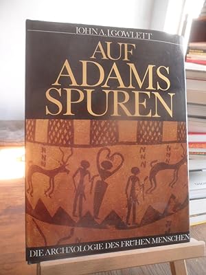 Imagen del vendedor de Auf Adams Spuren. Die Archologie des frhen Menschen. a la venta por Antiquariat Floeder