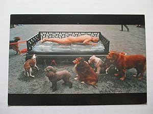 Bild des Verkufers fr Zhang Huan Works from 1994-1998 Max Protech 1999 Exhibition invite postcard zum Verkauf von ANARTIST