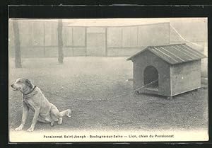 Carte postale Boulogne-sur-Seine, Lion chien du Pensionnat, chien des Pensionnats