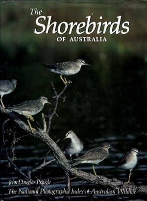 The Shorebirds of Australia