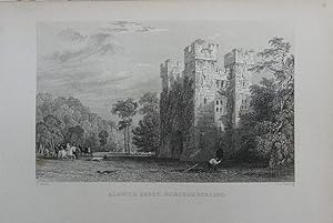 Seller image for Northumberland. Alnwick Abbey for sale by theoldmapman