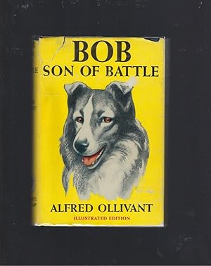 Bob Son Of Battle Illustrated Edition HB/DJ