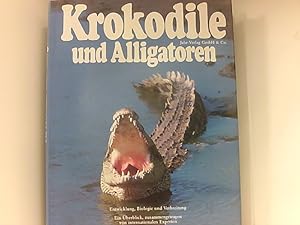 Krokodile und Aligatoren