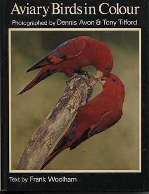 Aviary Birds In Color