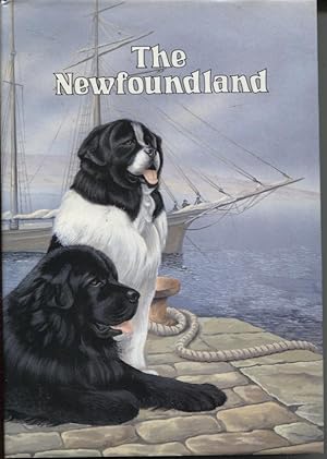 THE NEWFOUNDLAND