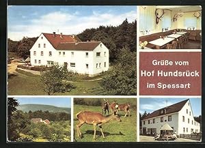 Ansichtskarte Eschau, Gasthaus Hof Hundsrück im Spessart