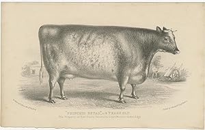 Antique Print of a Cow by Moody (c.1850)