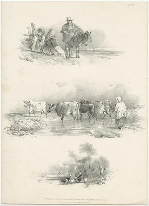 No. 29 Antique Print of Cattle by Fuller (c.1840)