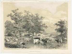 No. 1 Antique Print of Cattle by Ducôte (1837)