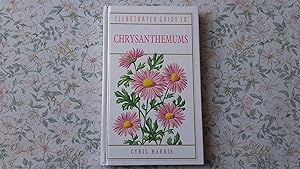 Seller image for Illustrated Guide to Chrysanthemums for sale by Stone Books