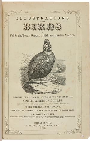 ILLUSTRATIONS OF THE BIRDS OF CALIFORNIA, TEXAS, OREGON, BRITISH AND RUSSIAN AMERICA. INTENDED TO...