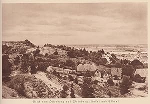 Deutschlands Ehrenmal im Stromgebiet der Elbe.