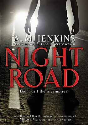 Seller image for Night Road (Paperback or Softback) for sale by BargainBookStores