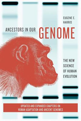 Bild des Verkufers fr Ancestors in Our Genome: The New Science of Human Evolution (Paperback or Softback) zum Verkauf von BargainBookStores