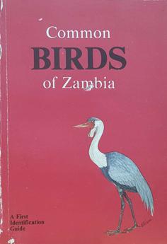 Common Birds of Zambia - A First Identification Guide