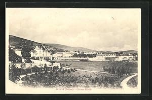 Carte postale Sauzet, Chateau Cestier