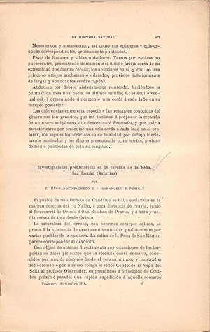 Imagen del vendedor de INVESTIGACIONES PREHISTORICAS EN LA CAVERNAS DE LA PEA SAN ROMAN (ASTURIAS) (EXTRAIDO ORIGINAL DEL AO 1914, ESTUDIO COMPLETO TEXTO INTEGRO) a la venta por Libreria 7 Soles