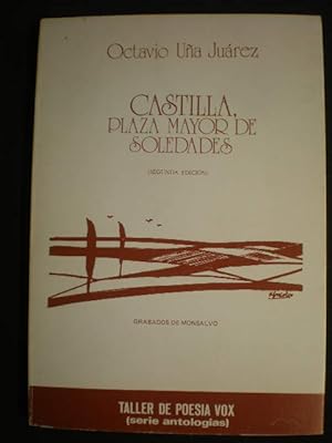 Bild des Verkufers fr Castilla, Plaza Mayor de Soledades zum Verkauf von Librera Antonio Azorn
