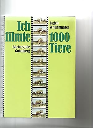 Seller image for Ich filmte 1000 Tiere. Erlebenisse auf allen Kontinenten mit 63 Farbbildern und 16 Schwarz-wei-Fotos. for sale by Sigrid Rhle