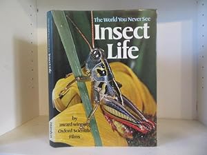 Seller image for The World You Never See: Insect Life for sale by BRIMSTONES