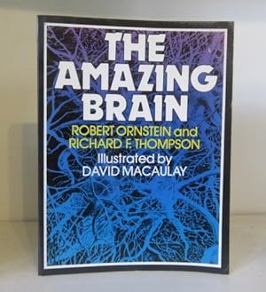 Seller image for The Amazing Brain for sale by BRIMSTONES