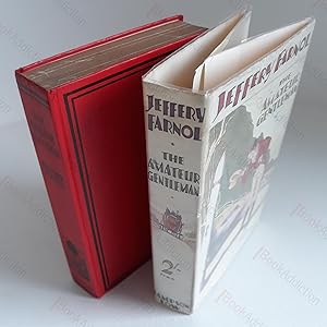 Seller image for The Amateur Gentleman : A Romance for sale by BookAddiction (ibooknet member)