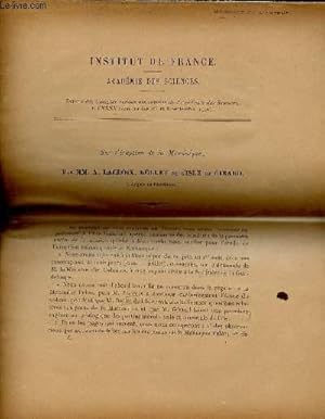 Seller image for Sur l'ruption de la Martinique - Extrait des comptes rendus des sances de l'acadmie des sciences t.CXXXV sances des 1er et 8 sept.1902. for sale by Le-Livre