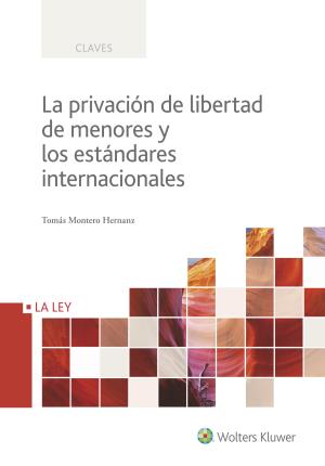 Image du vendeur pour La privacin de libertad de menores y los estndares internacionales mis en vente par Midac, S.L.