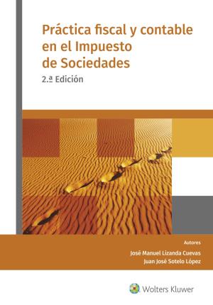 Seller image for Prctica fiscal y contable en el Impuesto de Sociedades (2. Edicin) for sale by Midac, S.L.