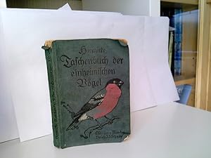 Taschenbuch der einheimischen Vögel.