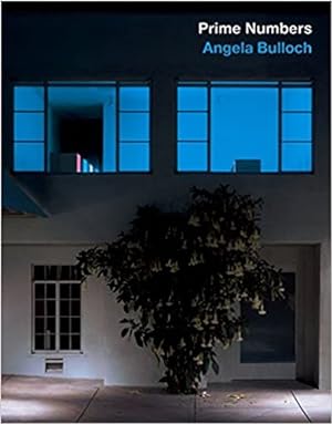 Bild des Verkufers fr Angela Bulloch : Prime Numbers. - (Dt. /Engl.) zum Verkauf von BuchKunst-Usedom / Kunsthalle
