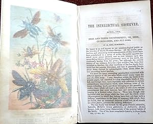 Immagine del venditore per The Intellectual Observer. Vol I. No 3. 1862 April. Review of Natural History, Microscopic Research, and Recreative Science. inc Bees, Cuttlefish Shell, Aluminium, Diatoms, Cod Fish Eye, Meteors, Cephalosiphon, Zoology, Condor in Peru, Solar Repulsion, et venduto da Tony Hutchinson