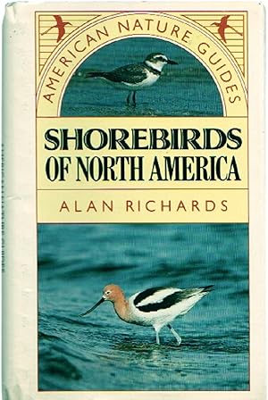Shorebirds of North America