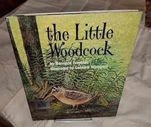 THE LITTLE WOODCOCK